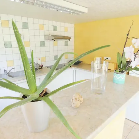 Tatil Evi Linxe, 4 Pieces, 6 Personnes - Fr-1-360-633 Linxe